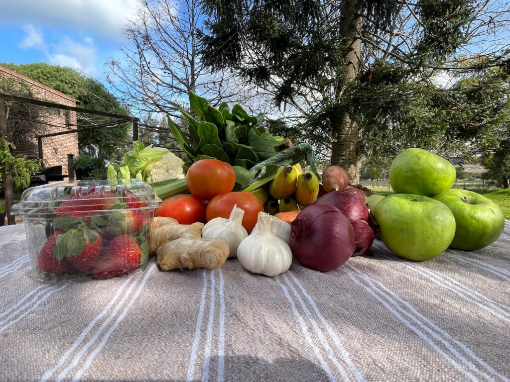 Colorful assortment of fresh fruits and vegetables on a striped cloth outdoors, featuring strawberries, tomatoes, bananas, spinach, cauliflower, green apples, sweet potatoes, carrots, garlic, ginger, and red onions in a rural Uruguay setting, food quality in uruguay