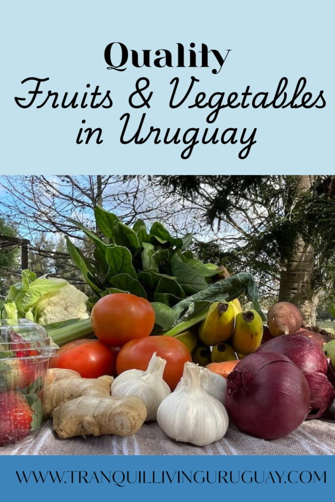 Display of a colorful assortment of fruits and vegetables, food quality in uruguay #qualityfood #qualityfoodinuruguay #fruitsandvegetablesofUruguay #fruitsandvegetablesinUruguay #healthyinuruguay #ealthyeatinginuruguay #qualityproduce #produceinuruguay